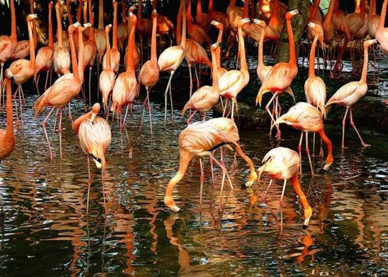 仙女山马拉松比赛_2017仙女湖马拉松_2020仙女山马拉松