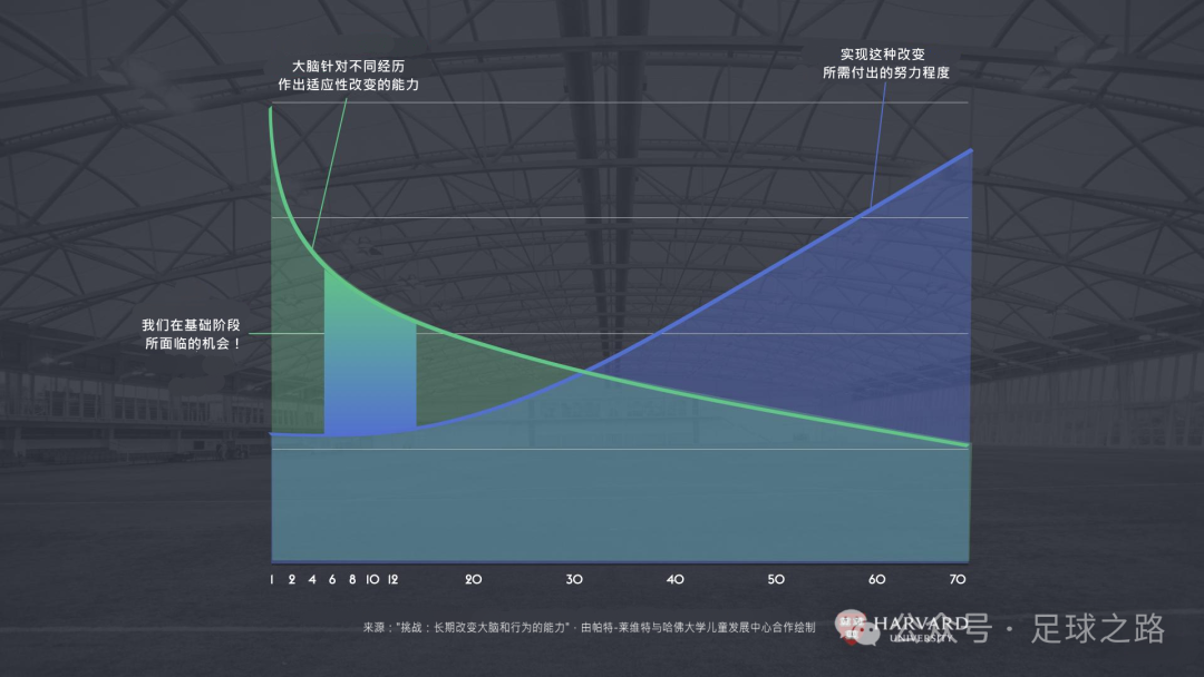 足球技巧教案_足球脚球技巧教学目标设计_足球训练的脚法介绍